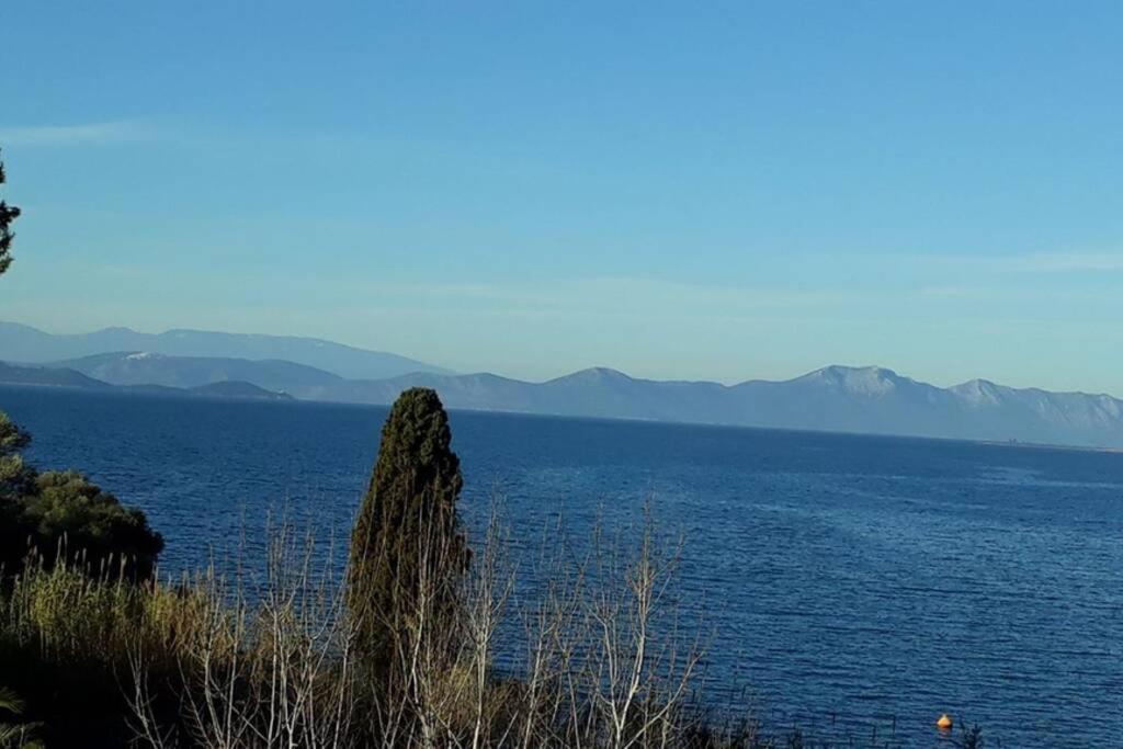 Amazing Sea View-Neos Pyrgos Beach -Evoia Greece Néos Pírgos Eksteriør bilde