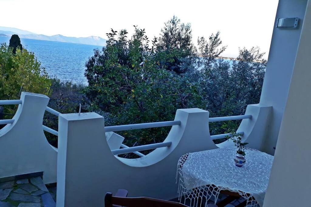 Amazing Sea View-Neos Pyrgos Beach -Evoia Greece Néos Pírgos Eksteriør bilde