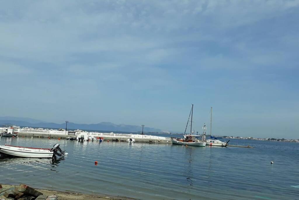 Amazing Sea View-Neos Pyrgos Beach -Evoia Greece Néos Pírgos Eksteriør bilde