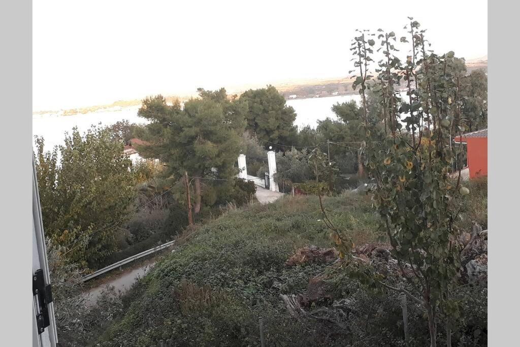 Amazing Sea View-Neos Pyrgos Beach -Evoia Greece Néos Pírgos Eksteriør bilde