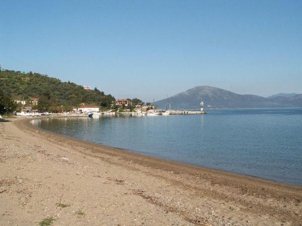 Amazing Sea View-Neos Pyrgos Beach -Evoia Greece Néos Pírgos Eksteriør bilde